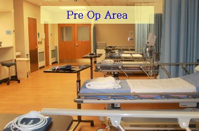 preoparea